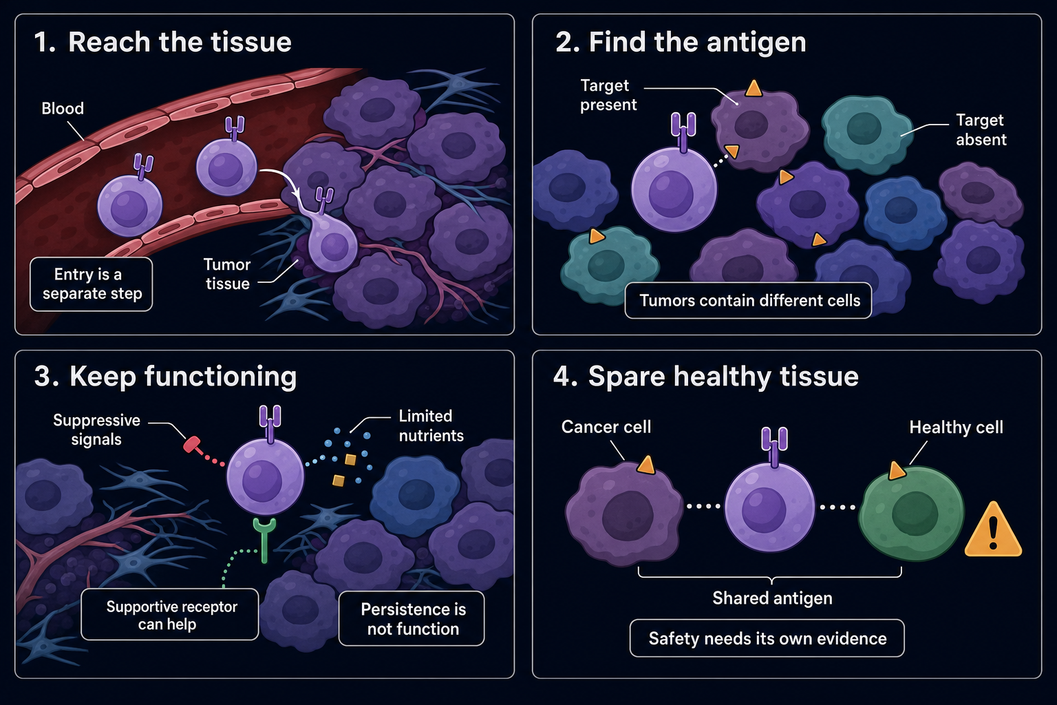 Engineered cells encounter separate barriers to tumor entry, target recognition, useful function and healthy-tissue safety