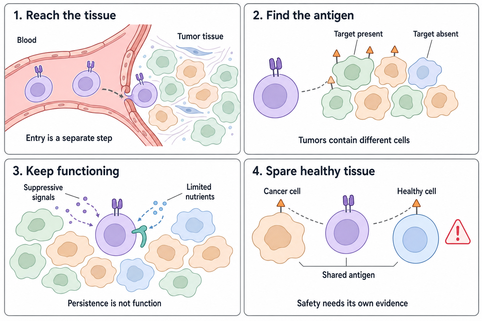 Engineered cells encounter separate barriers to tumor entry, target recognition, useful function and healthy-tissue safety