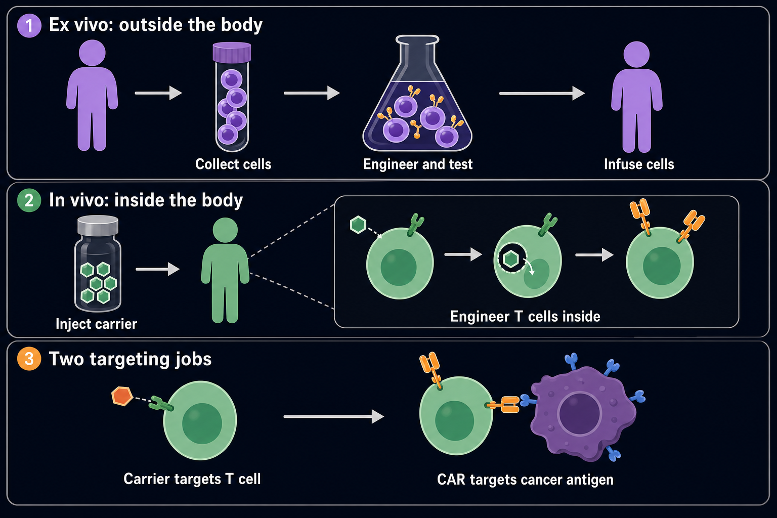 Two routes: cells engineered in a laboratory and infused, or instructions delivered to engineer cells inside the body