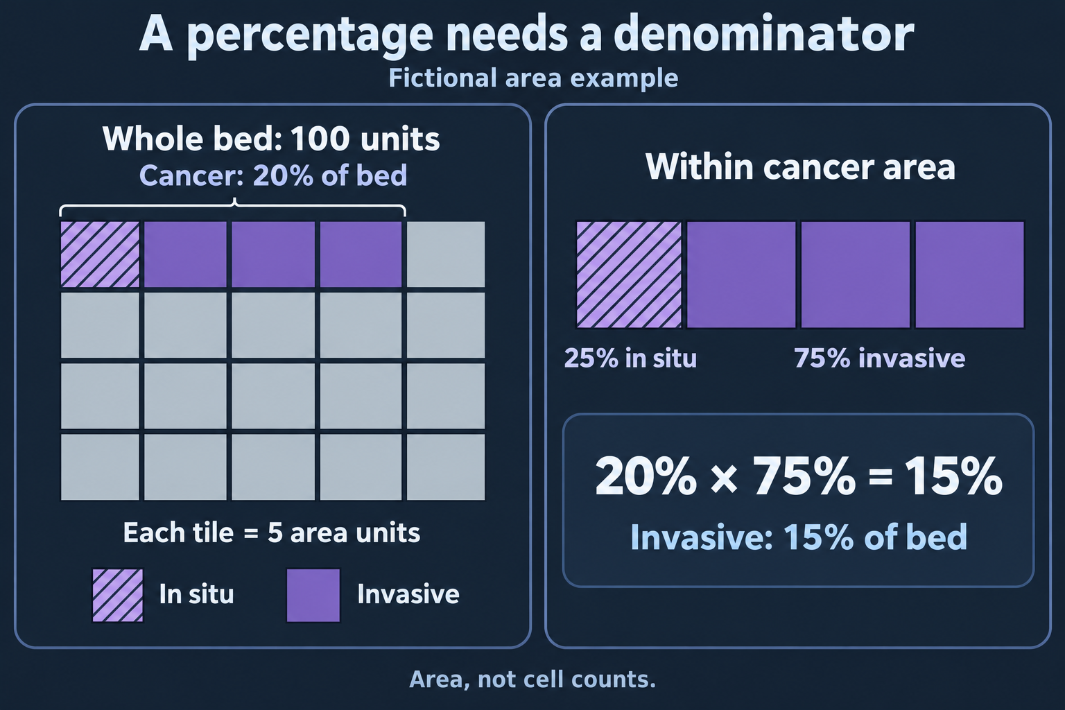 Two fictional area diagrams show a 100-unit bed with 20 cancer units, then separate the cancer area into 25 percent in situ and 75 percent invasive to yield 15 percent invasive bed area.