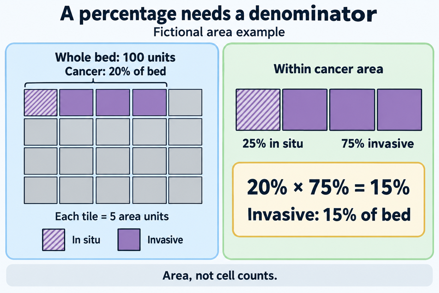 Two fictional area diagrams show a 100-unit bed with 20 cancer units, then separate the cancer area into 25 percent in situ and 75 percent invasive to yield 15 percent invasive bed area.
