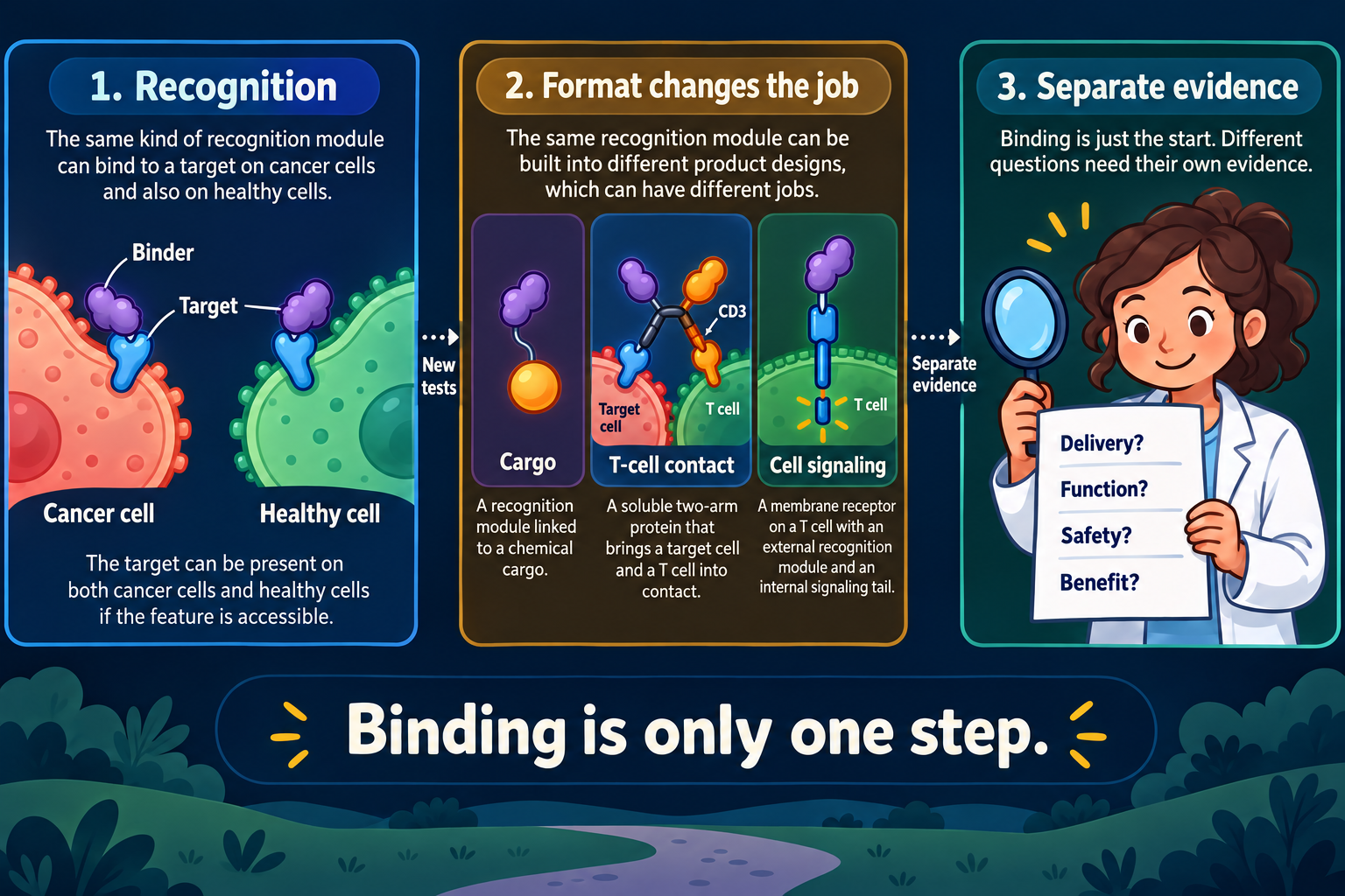 Three panels show a binder contacting a shared target on cancer and healthy cells, different therapeutic formats, and separate delivery, function, safety and benefit questions