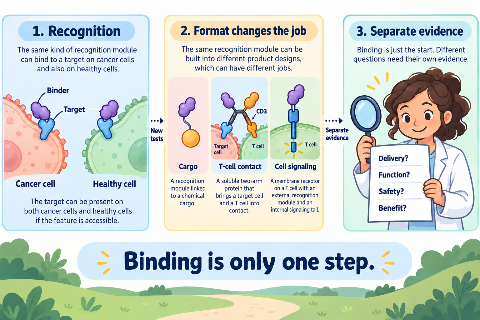 Three panels show a binder contacting a shared target on cancer and healthy cells, different therapeutic formats, and separate delivery, function, safety and benefit questions