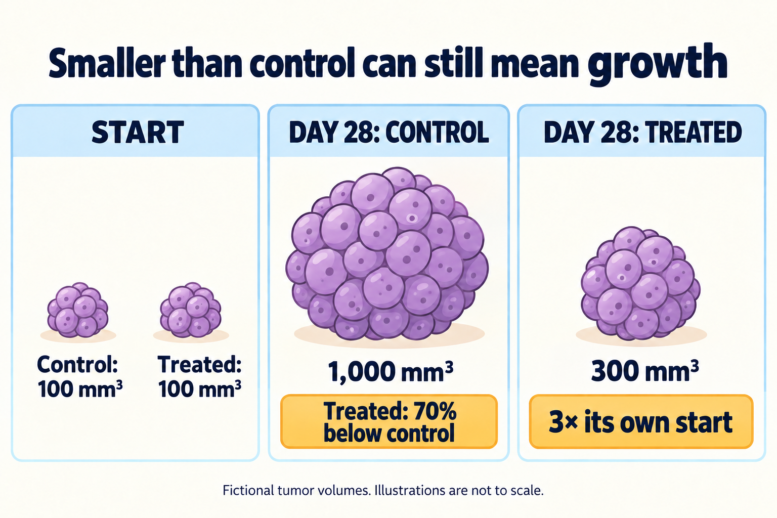 Fictional tumor volumes: control and treated both start at 100 cubic millimeters. At day 28, control is 1,000 and treated is 300. Treated is 70 percent below control but three times its own start.