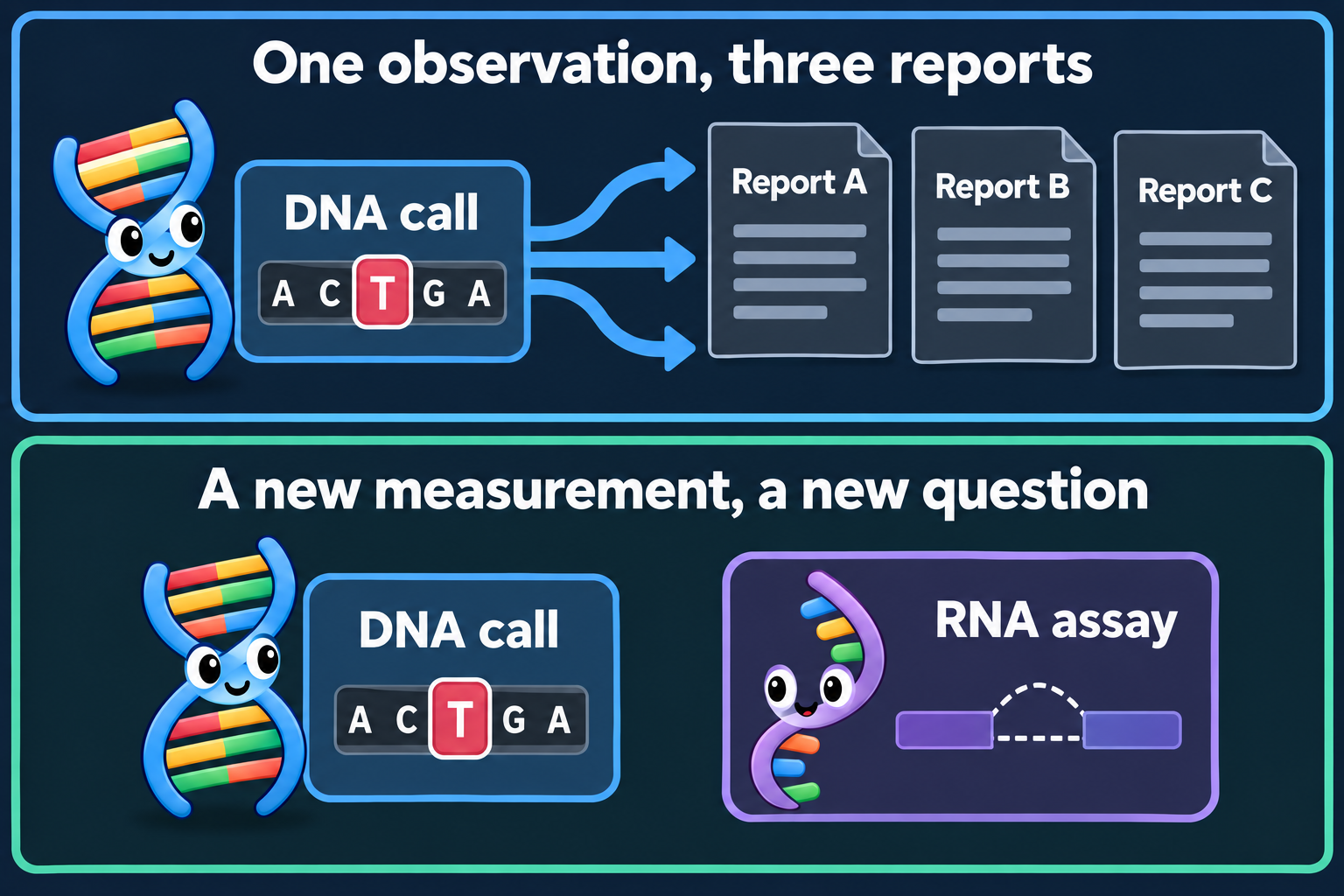 Two panels show one DNA observation copied into three reports and a separate RNA assay adding another measured object