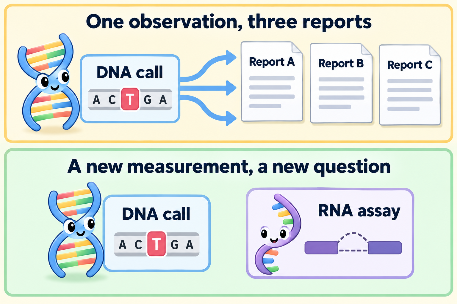 Two panels show one DNA observation copied into three reports and a separate RNA assay adding another measured object