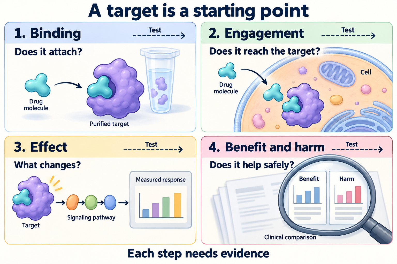 Four panels ask whether a molecule binds a purified target, engages it inside a cell, changes a measured response, and produces useful clinical benefit with acceptable harm