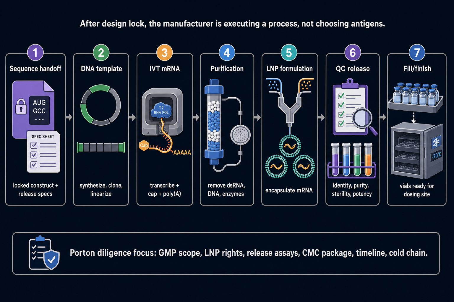 porton sequence to vials cartoon