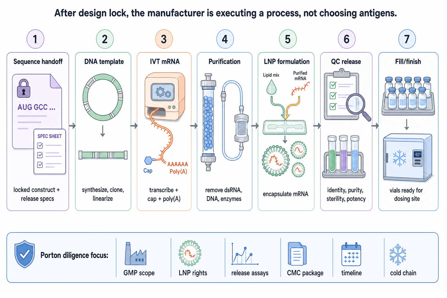 porton sequence to vials cartoon