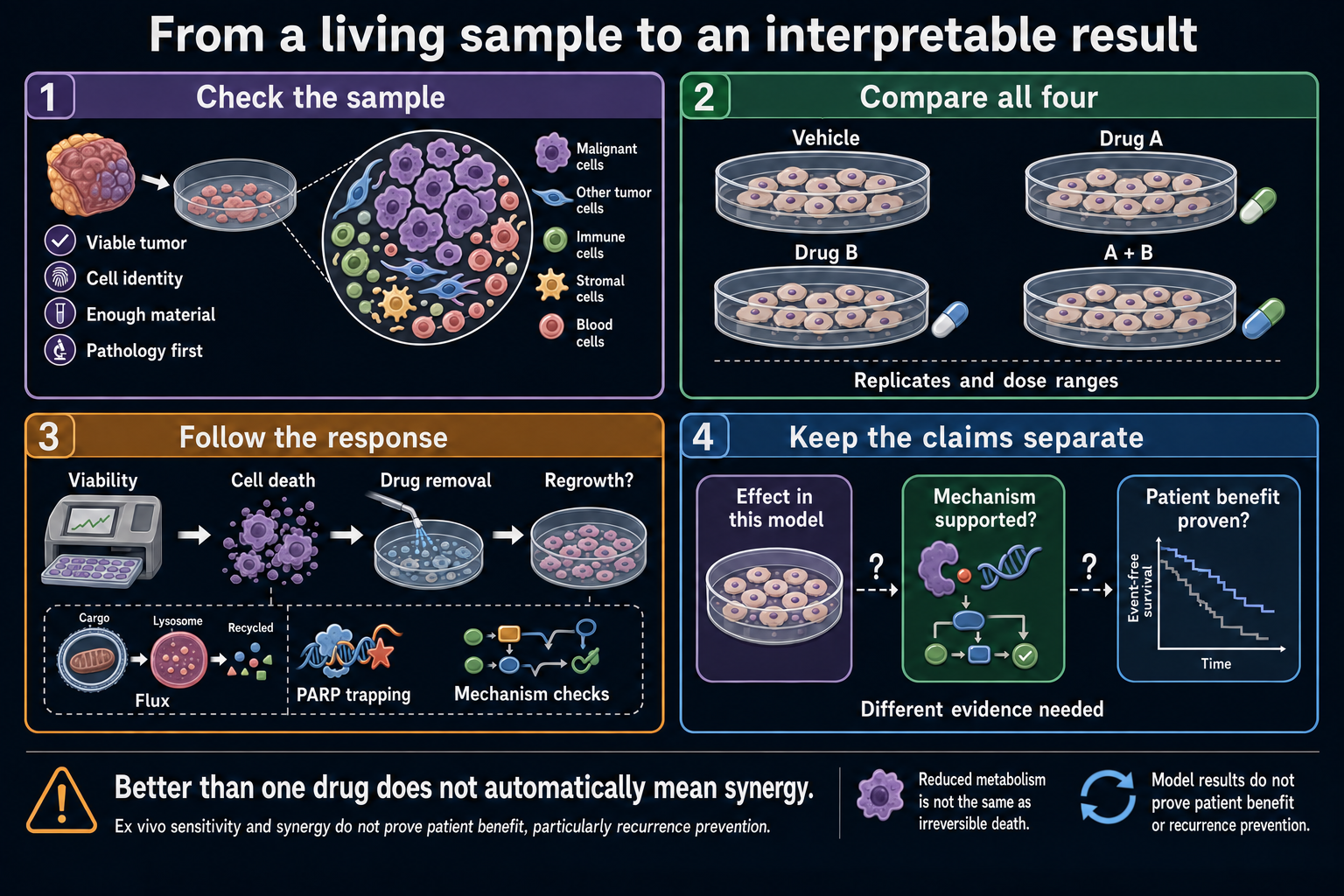 Panels follow a viable specimen through cell-identity checks, vehicle and single-drug controls, combination treatment, survival readouts, and limits on the final clinical claim