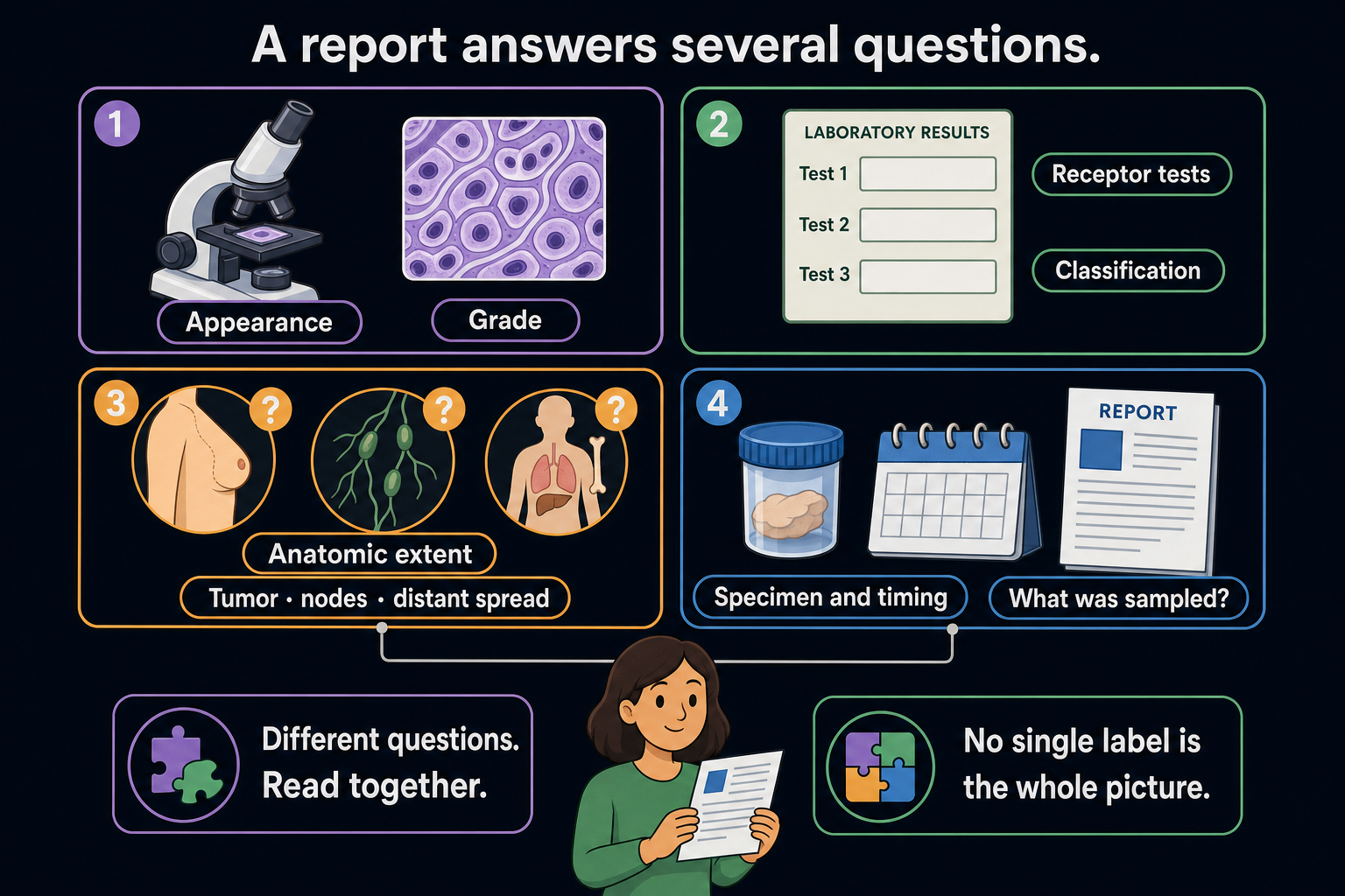 Four panels connect microscopic appearance, receptor tests, anatomic extent, and specimen timing to a reader's report; blank test fields and question marks leave the findings unspecified.