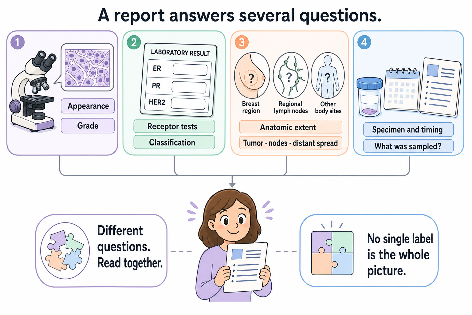 Four panels connect microscopic appearance, receptor tests, anatomic extent, and specimen timing to a reader's report; blank test fields and question marks leave the findings unspecified.